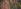 Detailaufnahme von miteinander verbundenen Seilen